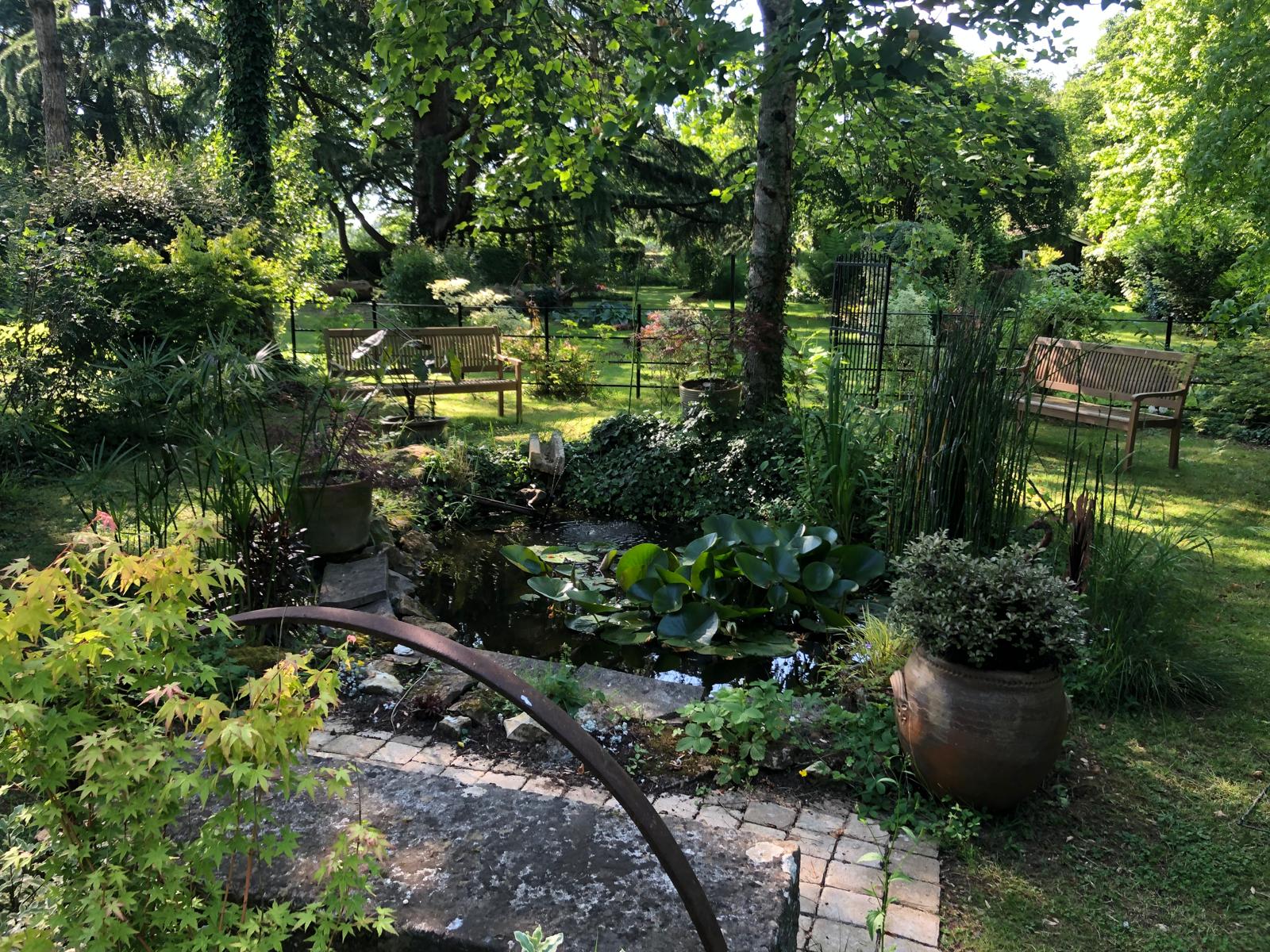 Bassin aux nénuphars et bancs de bois dans un coin ombragé du jardin